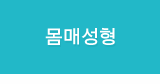 몸매성형
